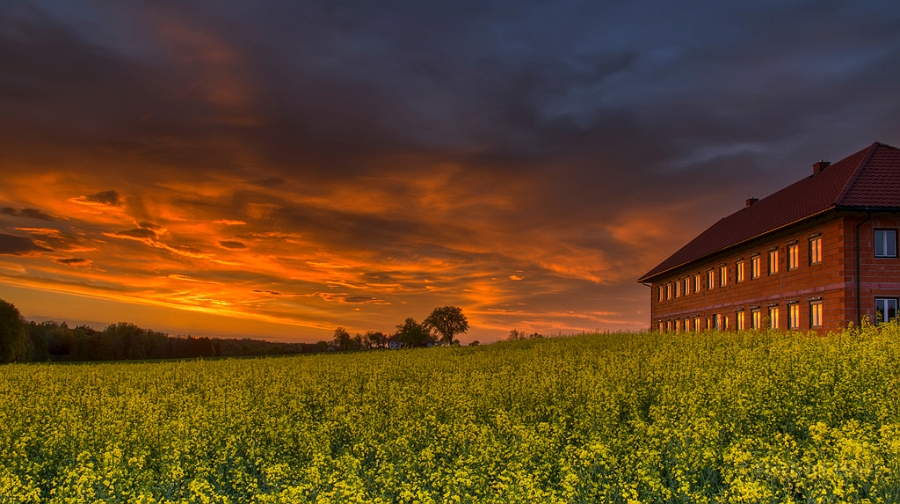 Rappsfeld im Abendlicht